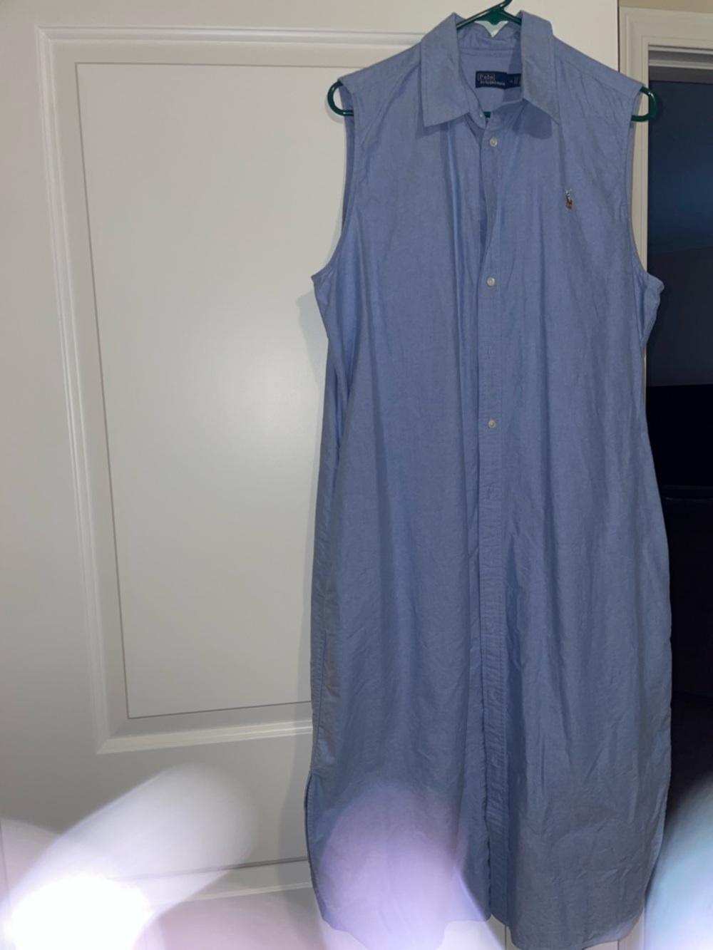 Polo by Ralph Lauren Light Blue Button-Down Shirt